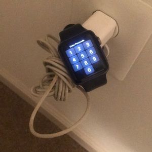 Series 4 Apple Watch